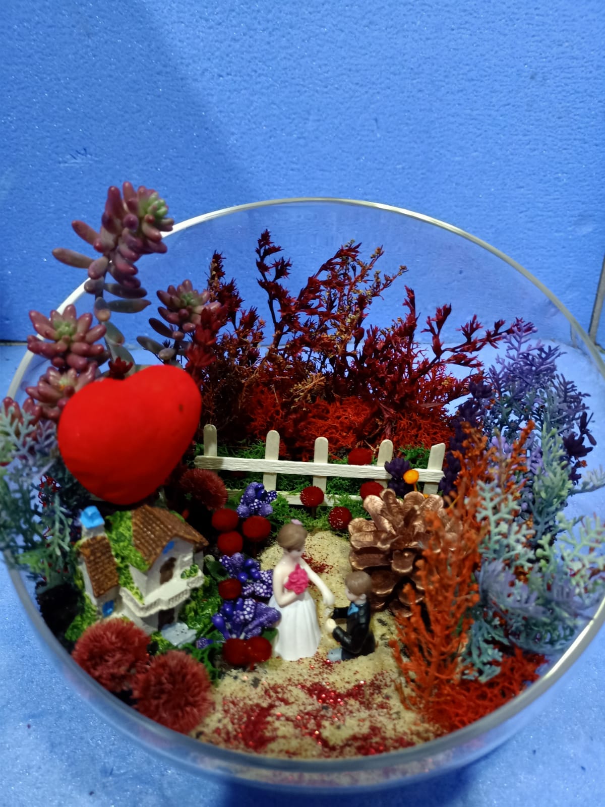 TERRARIUM - KAVACIK EK BEYKOZ EK